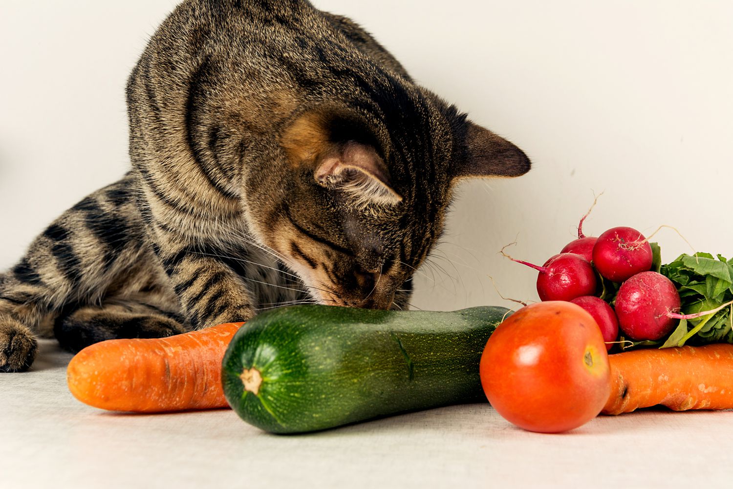 Verdura per cani e gatti: le buone abitudini fin da piccoli