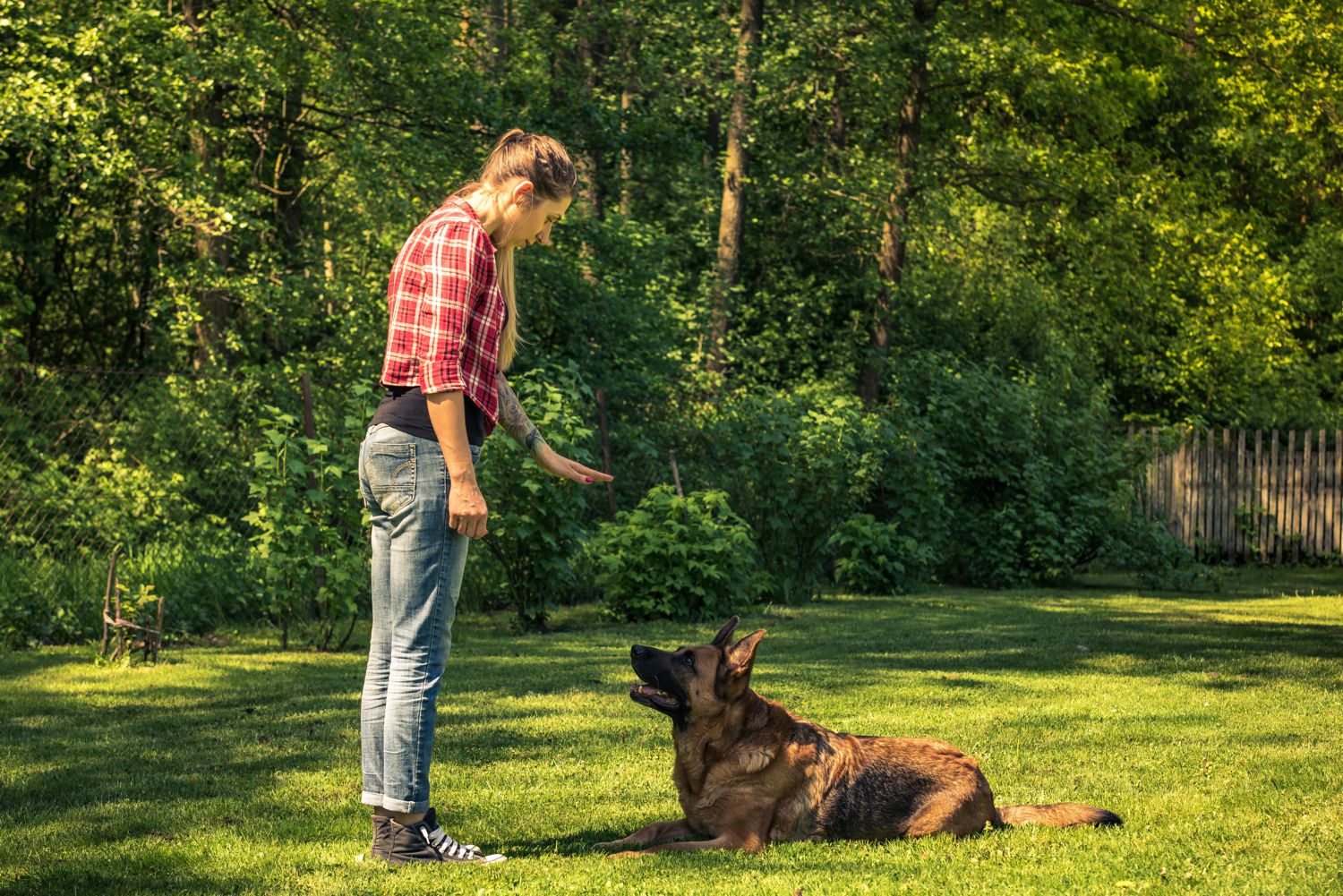 Come comunicare con il proprio cane