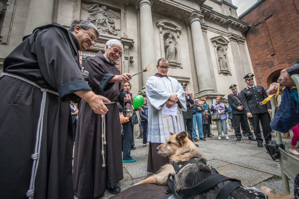 La benedizione degli animali nel nome di San Francesco - News Petme