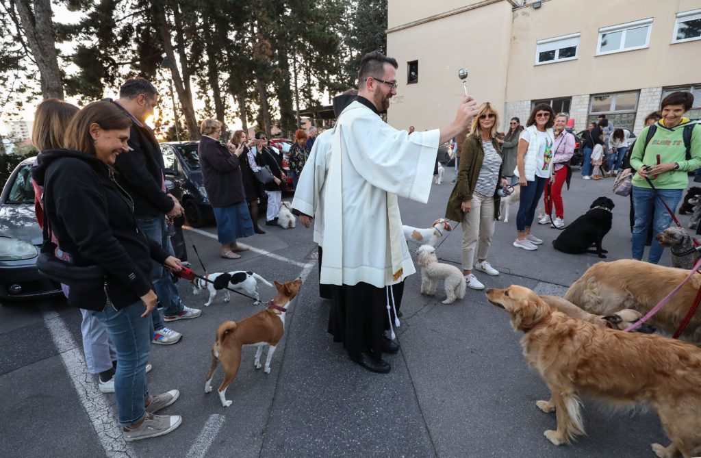 Chi è Il Protettore Degli Animali Arriva il giorno di Sant’Antonio Abate, il protettore degli animali