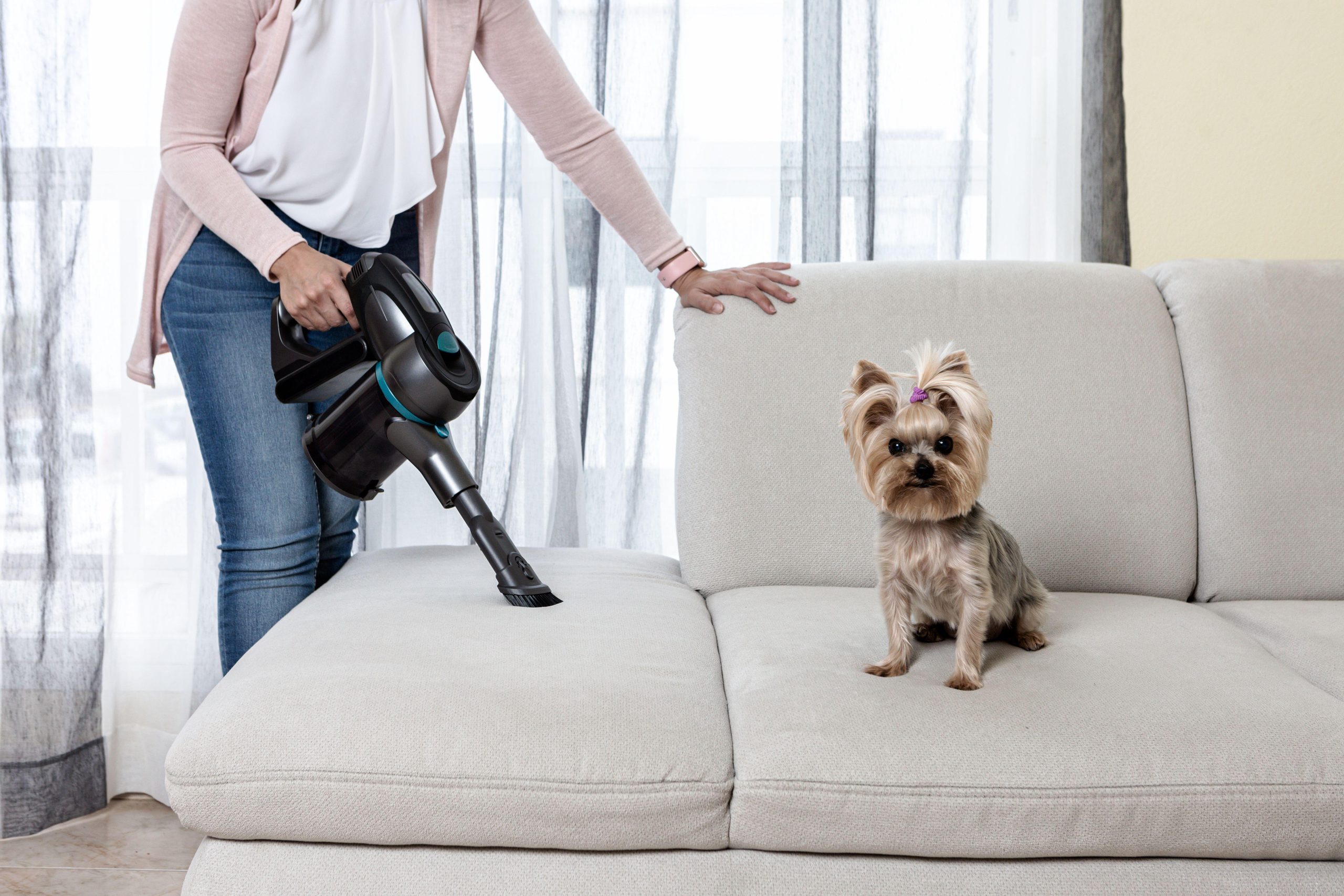 Come eliminare i peli del cane e del gatto da casa - Petme