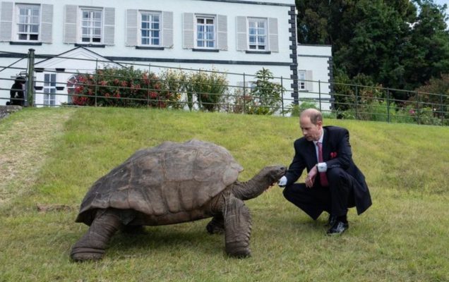 La corona inglese omaggia Jonathan, la tartaruga bicentenaria. Faccia a  faccia con il principe Edoardo - Petme