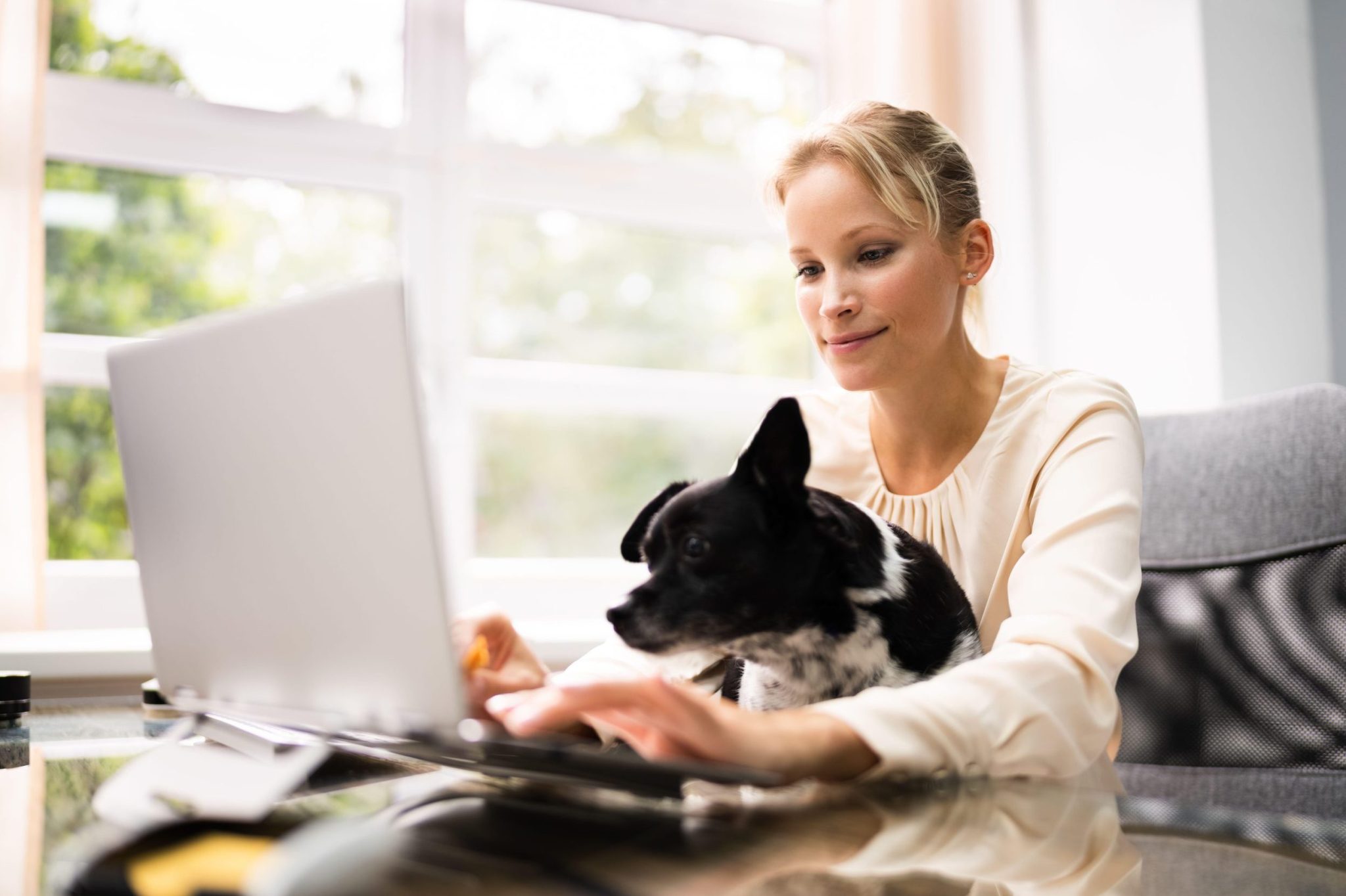 Uffici pet-friendly, in Italia sono solo 1 su 10 - News Petme