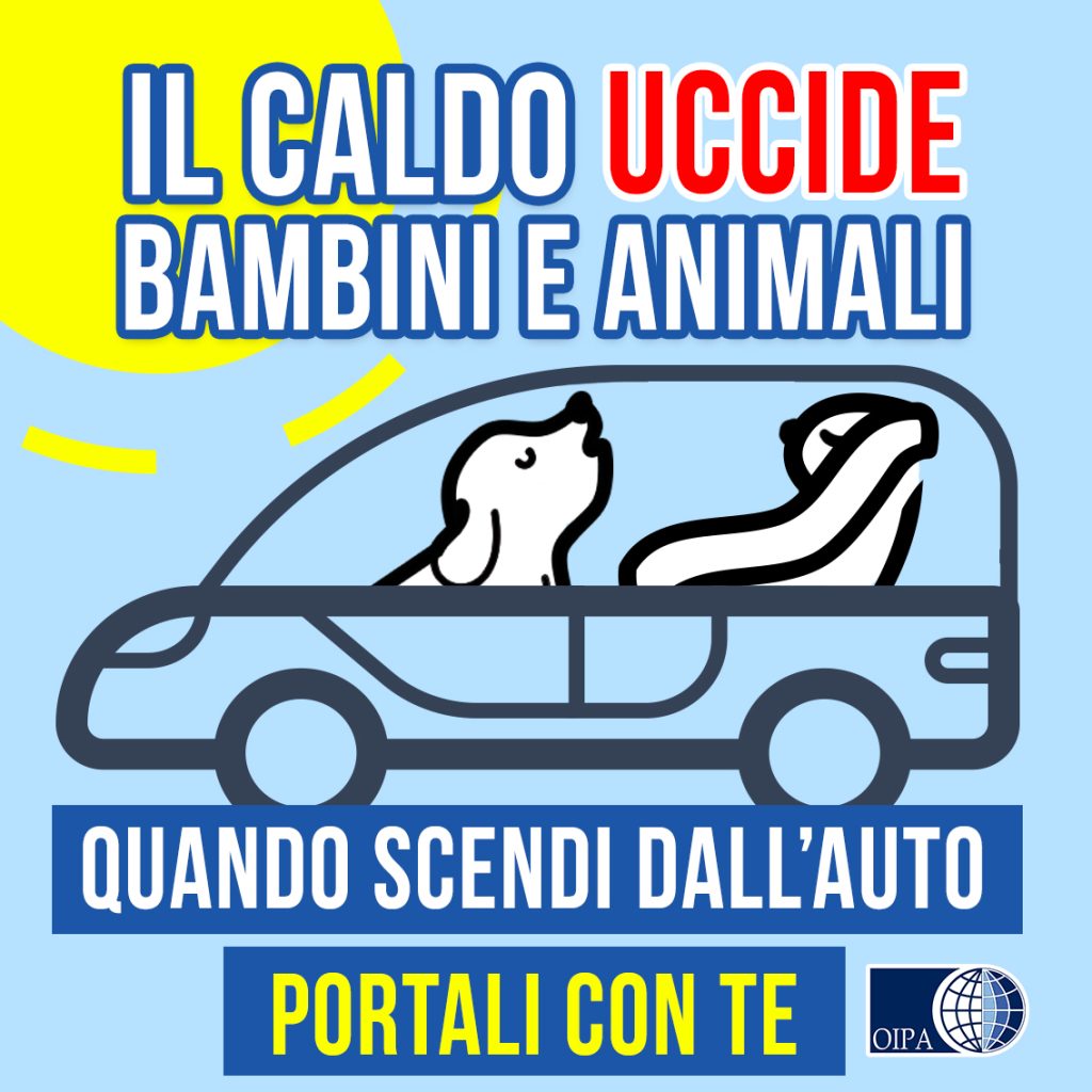 per interno o instagram
