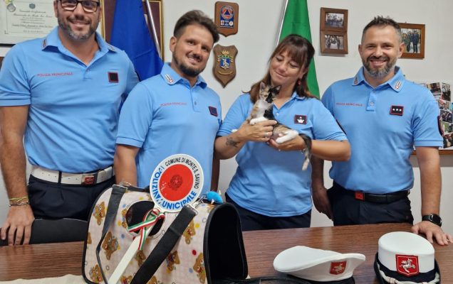 apertura