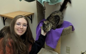 apertura nel rifugio Dakin Humane Society
