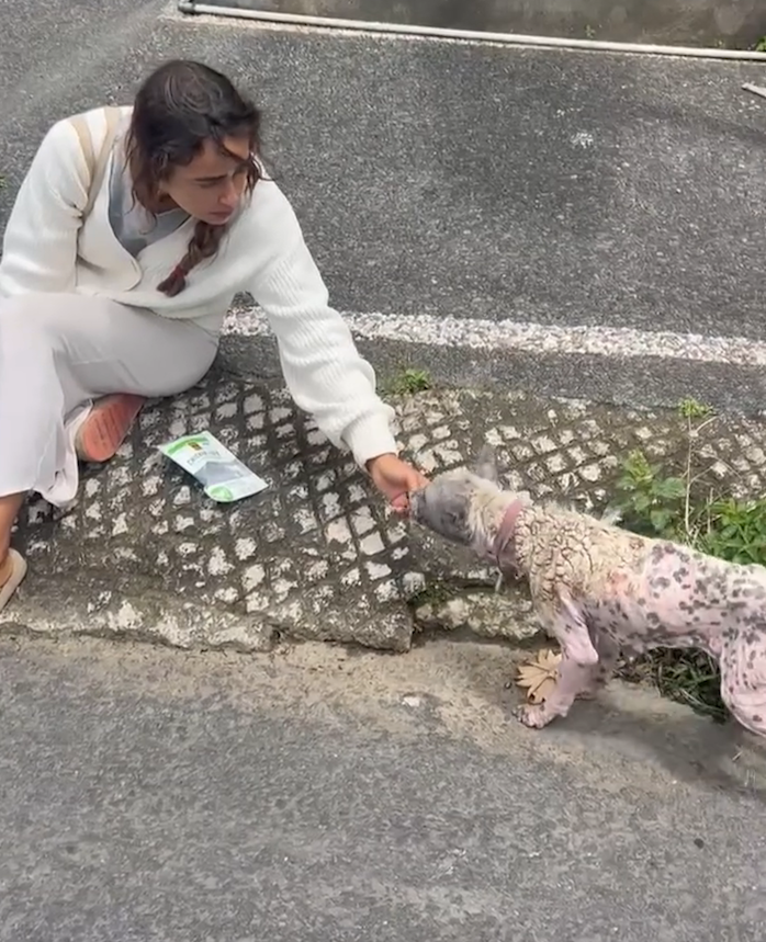 per interno (da video)