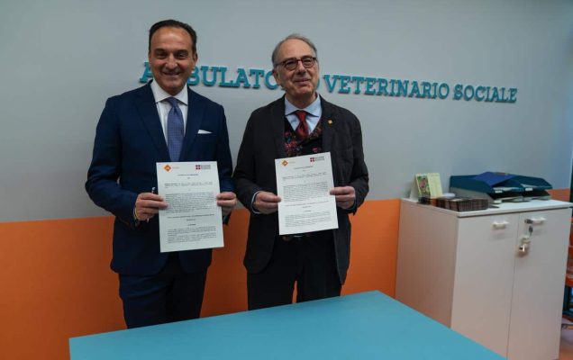 apertura