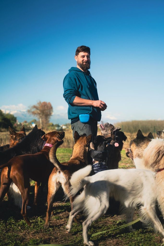 Alessandro con tanti cani felici all'aperto, come in un asilo per cani.