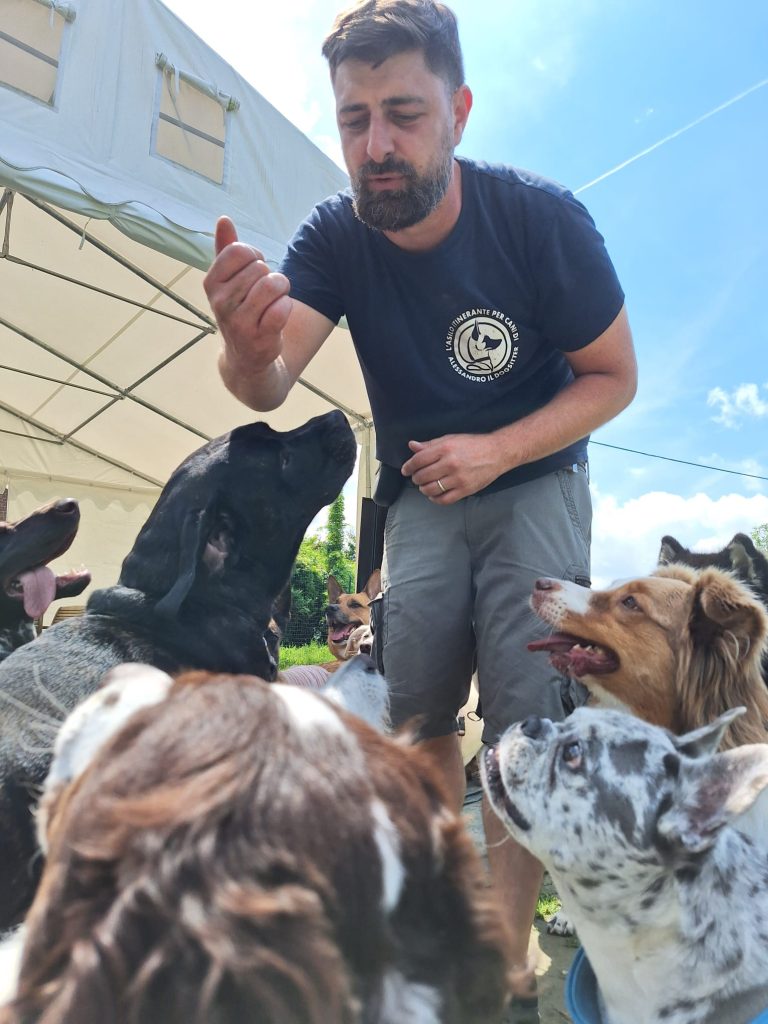 Alessandro accoglie i cani sotto una tenda, stile asilo per cani.