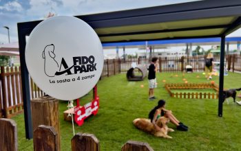 Parco per cani recintato con persone, cani, Fido e cartelli Bozza.