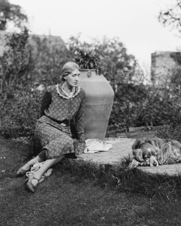 Donna vestita seduta accanto a un vaso; cocker spaniel sull'erba.