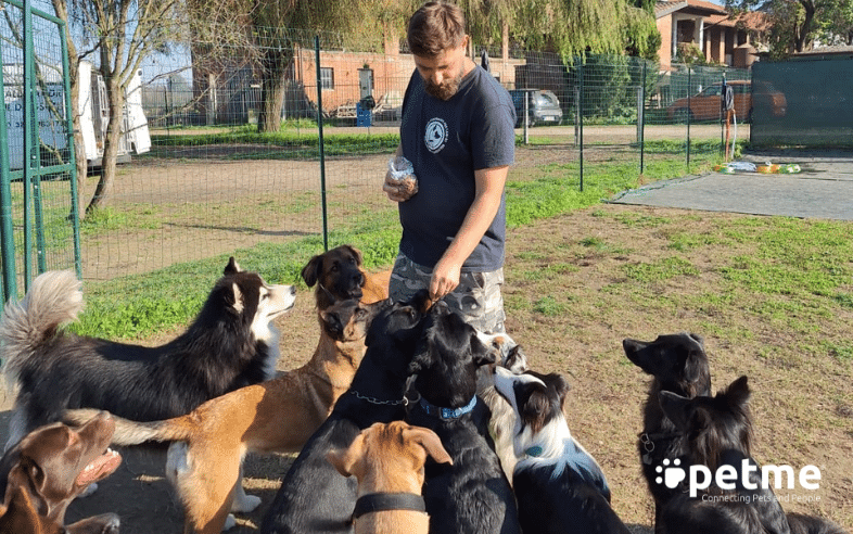 Alessandro IL DogSitter