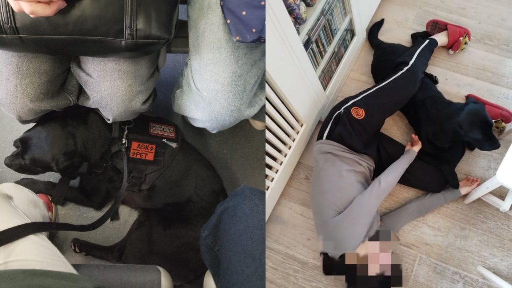 A sinistra: Cane guida nero riposa tra le gambe. A destra: Persona abbraccia canna eroe a terra.