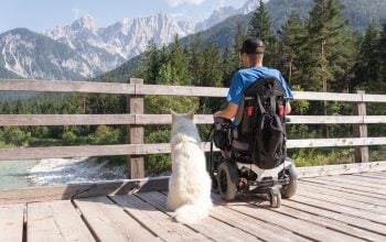Una persona in sedia a rotelle e un cane si godono insieme la vista del ponte di montagna.