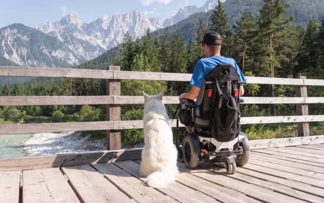 Una persona in sedia a rotelle e un cane si godono insieme la vista del ponte di montagna.