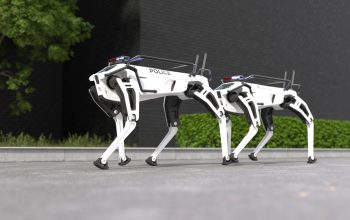 Cani robot