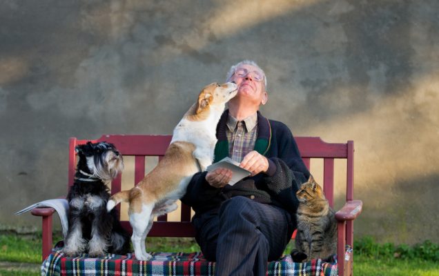 Pet therapy