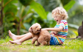 Cani e bambini