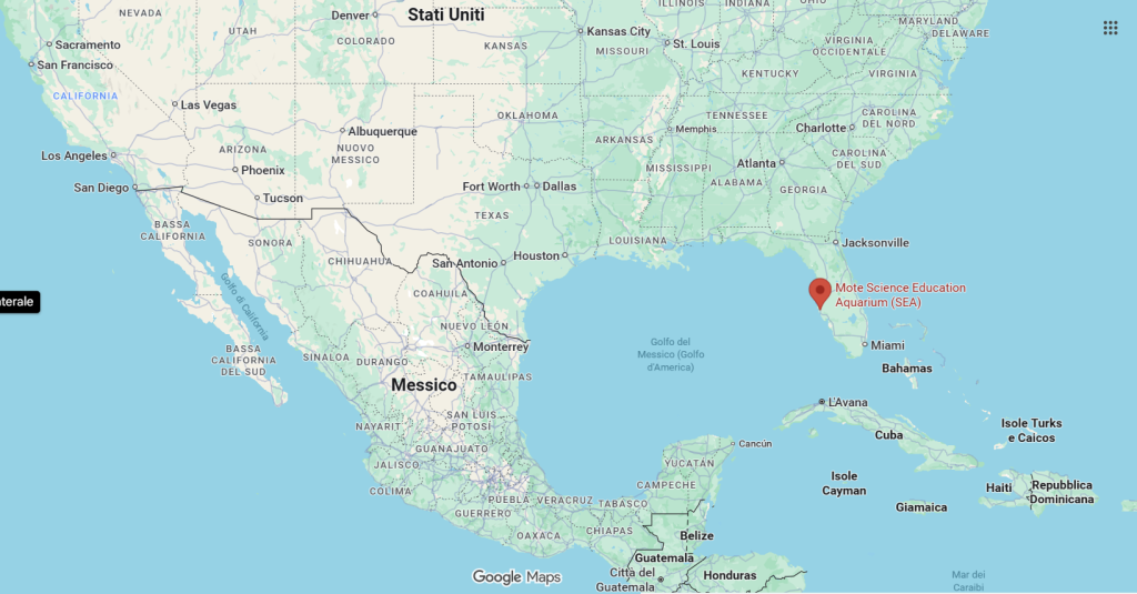 Mappa che mostra SEA Aquarium in Florida vicino a Mote Marine Aquarium.