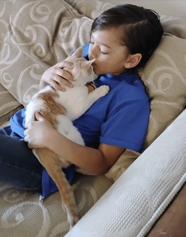 Un bambino su un divano beige abbraccia e bacia un gatto bianco-arancio.