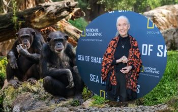 Jane Goodall