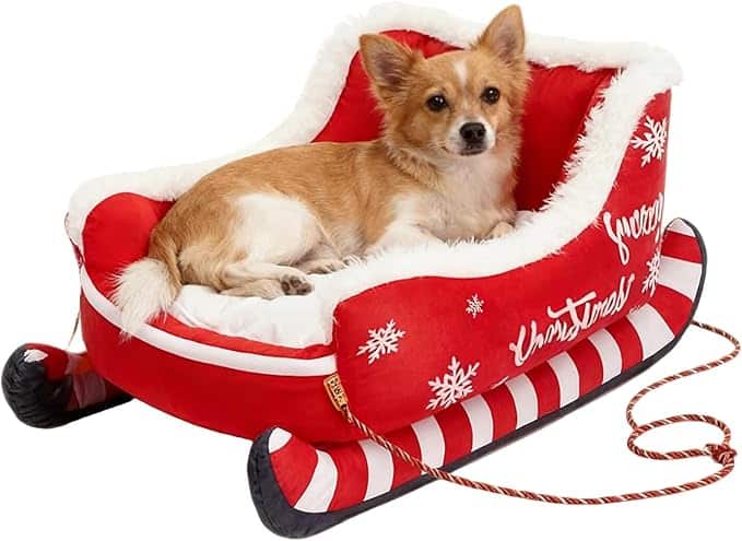 Cane di piccola taglia su letto a slitta rosso-bianco con fiocchi di neve, "Natale".
