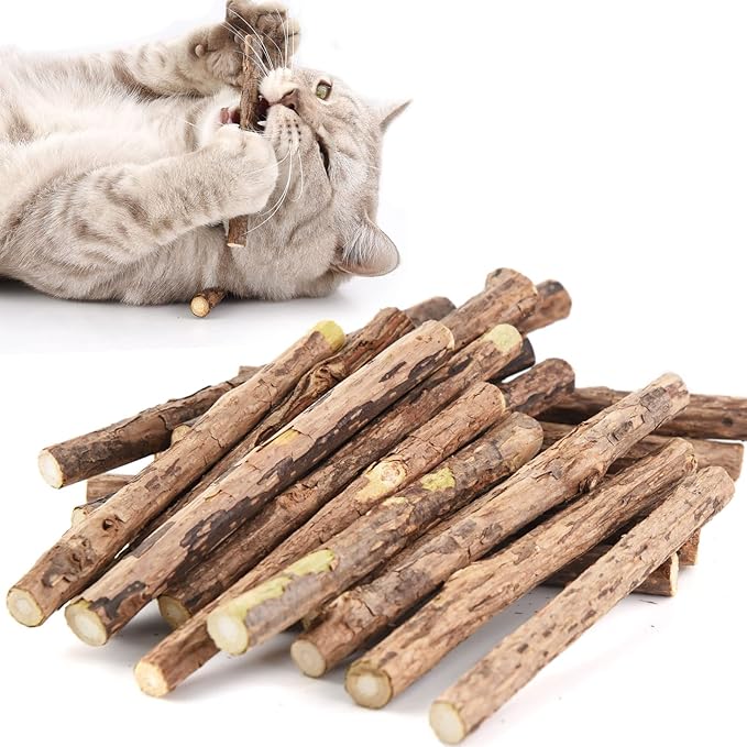 Gatto sulla schiena che mastica un bastone; mucchio di bastoni secchi davanti.