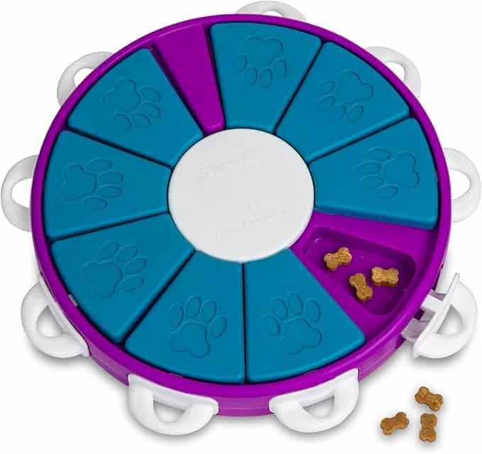 Puzzle per cani di colore blu-viola, con sezioni aperte, con leccornie all'interno e all'esterno.