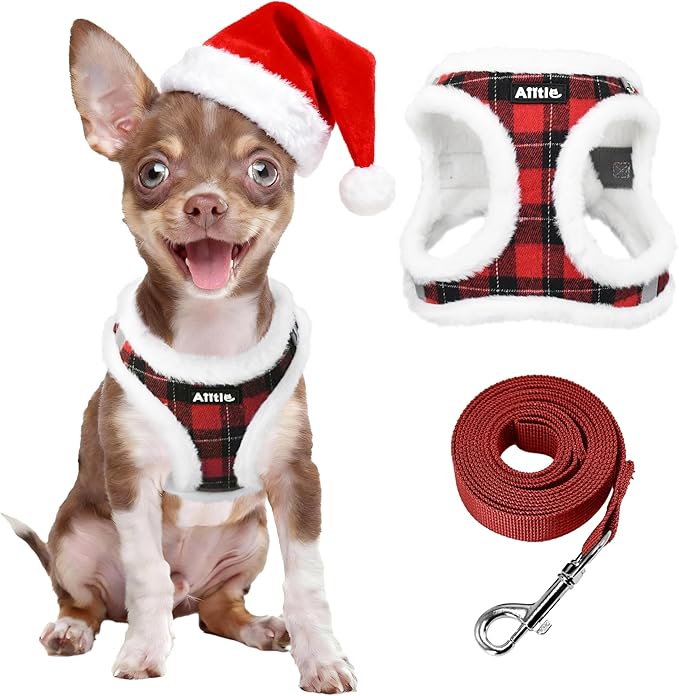 Cane di piccola taglia con pettorina a quadri rossi e cappello da Babbo Natale, accanto al guinzaglio coordinato.