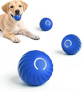 Cucciolo di labrador giallo tiene in mano una pallina blu, altre tre palline nelle vicinanze: regali festosi per cani.