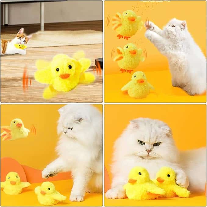 Gatto bianco con anatre gialle in peluche in una stanza gialla.