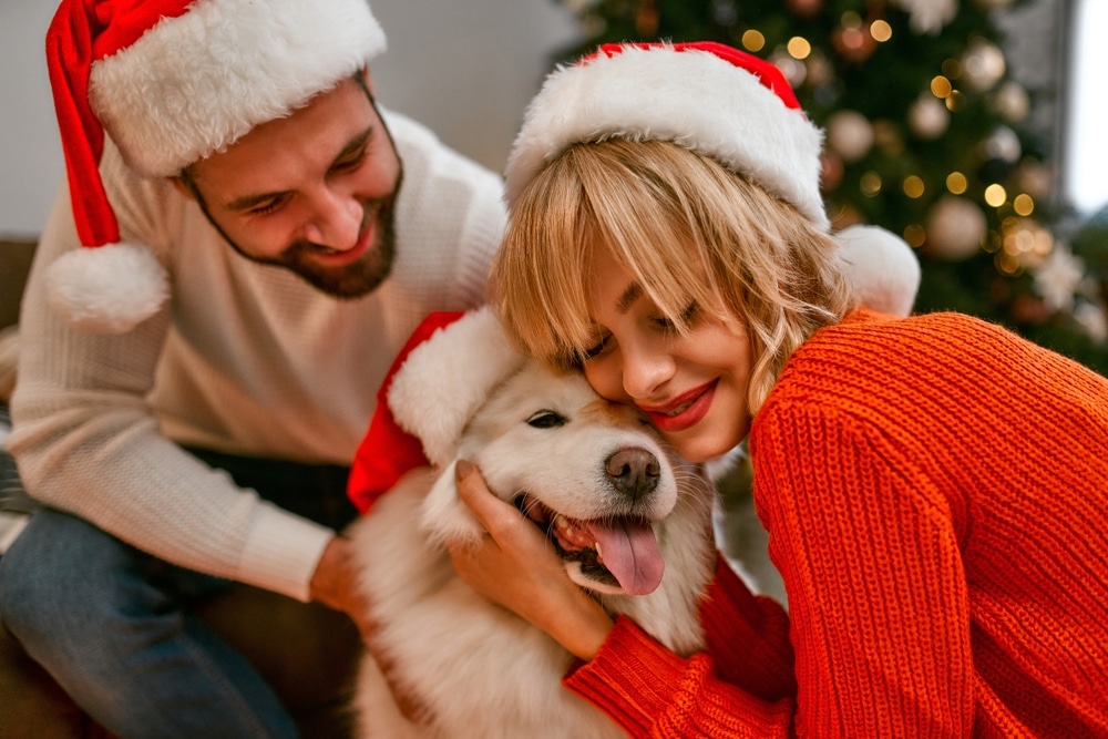 Biglietto Di Auguri Di Natale E Capodanno Con Un Cane Vestito Da Babbo