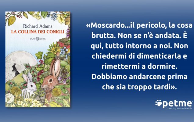 Copertina del libro a sinistra, citazione italiana a destra, sfondo blu, logo petme in basso.