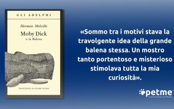 Copertina di Moby Dick, illustrazione della balena e citazione italiana su uomo e balena.