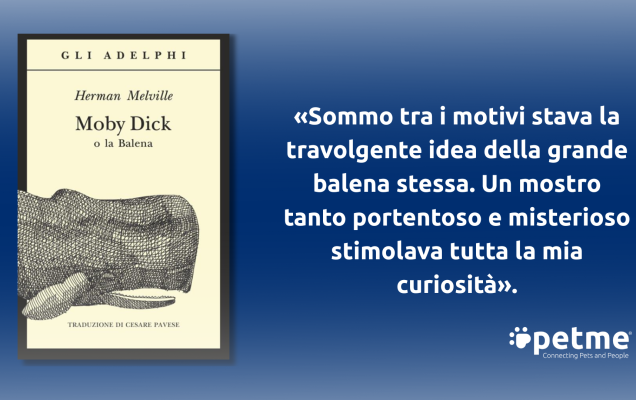 Copertina di Moby Dick, illustrazione della balena e citazione italiana su uomo e balena.