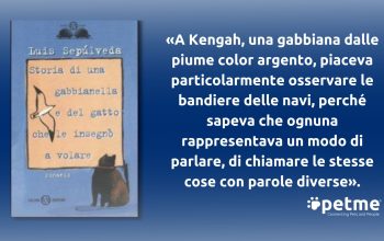 Copertina di "Storia di una gabbianella..." con citazione italiana e gabbiano.