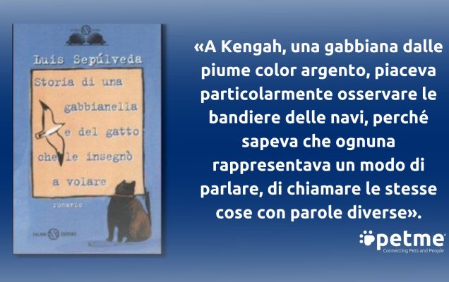 Copertina di "Storia di una gabbianella..." con citazione italiana e gabbiano.