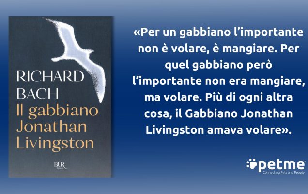 Copertina: Il gabbiano Jonathan Livingston con sagoma di gabbiano bianco.