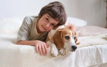 Ragazzo appoggia la testa sul beagle, entrambi sdraiati sul letto guardano la telecamera.