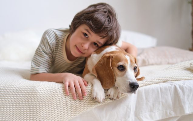 Ragazzo appoggia la testa sul beagle, entrambi sdraiati sul letto guardano la telecamera.
